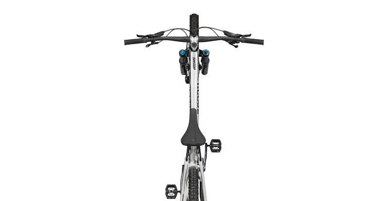 Radon SWOOP AL 9.0 – Bild 10